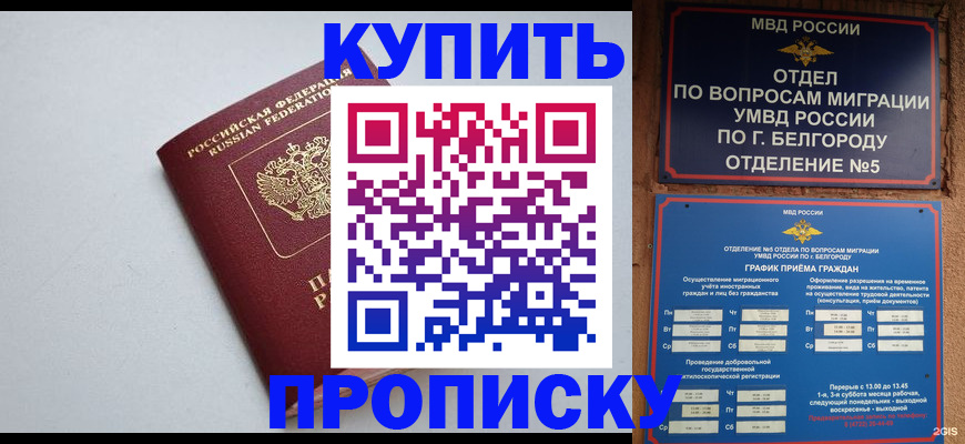 прописка регистрация в Мамадыше